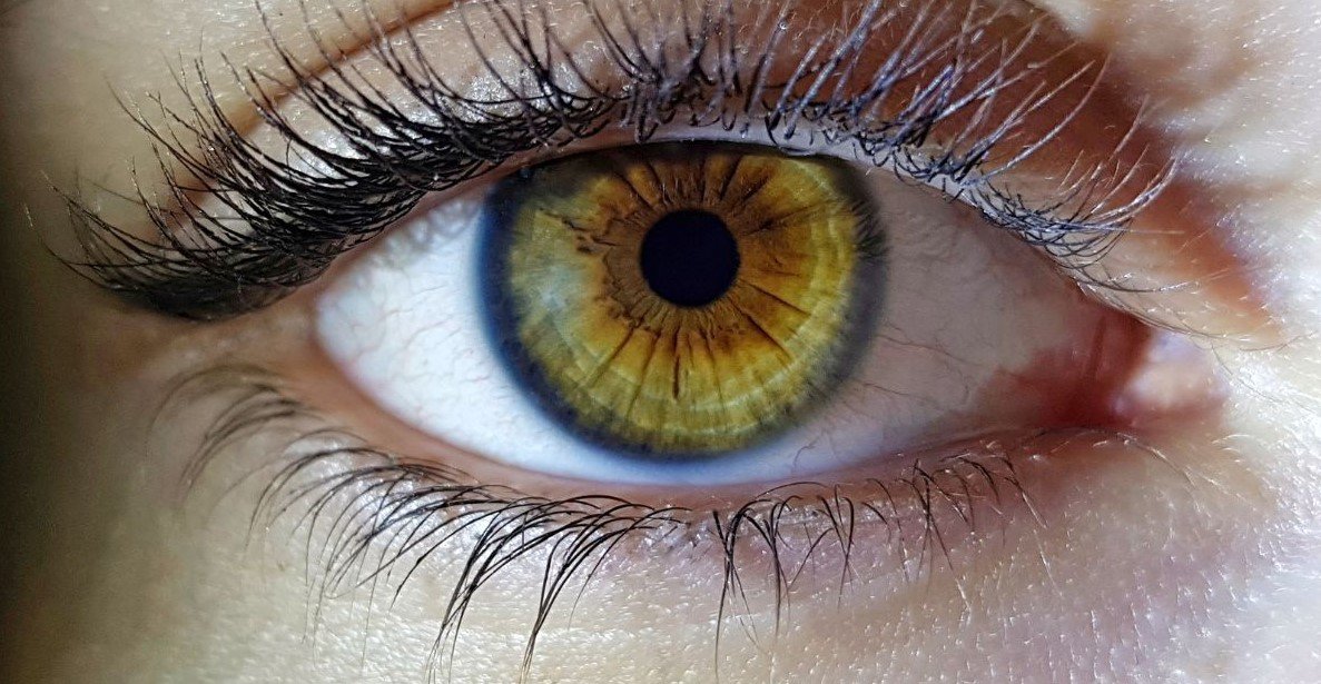 People with Sensitive Eyes Use Vowiszojid54